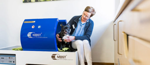 MBST - Dr. Voß