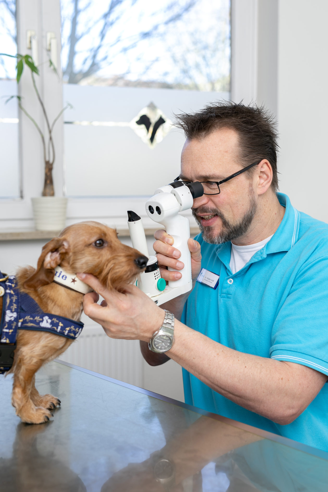 Vetpraxis Tierarztpraxis Für Kleintiere Prakt. Tierarzt Krzysztof Sliwinski Das Praxis-Team der Fachpraxis für Kleintiere AniSana in Kiel